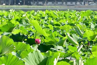 太强了！东契奇首节9中4拿下11分4板3助